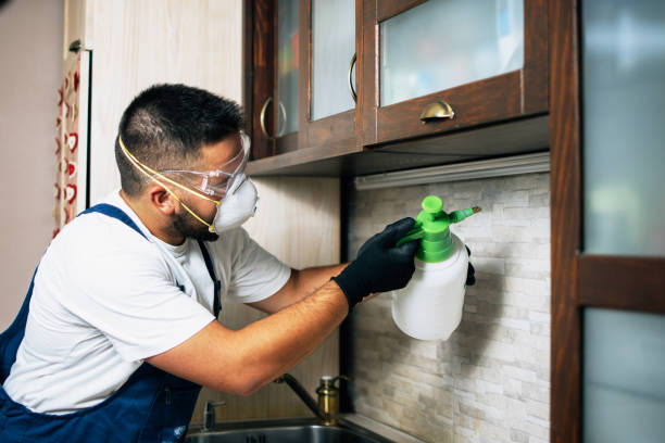Best Pest Inspection Near Me  in Bixby, OK