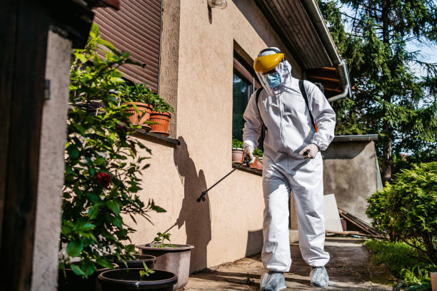 Best Rodent Control Near Me  in Bixby, OK