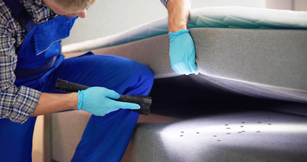 Best Best Pest Control Companies  in Bixby, OK