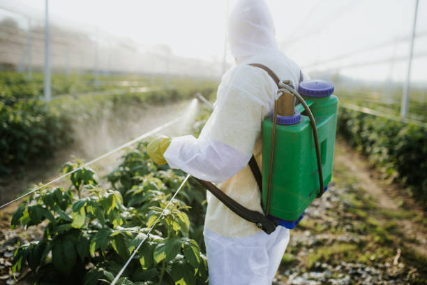 Best Pest Prevention Services  in Bixby, OK